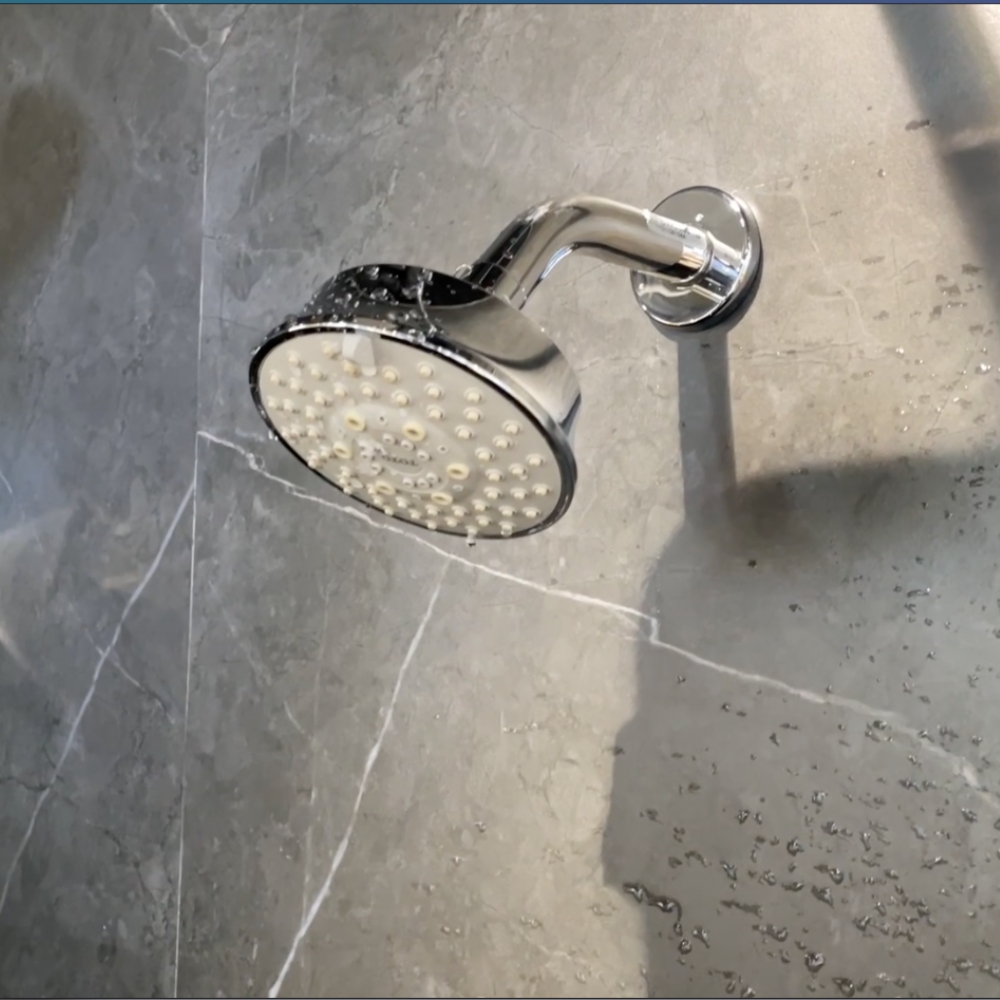 Bát sen tắm gắn tường TOTO TBW01013B (5 chế độ, tròn, 102mm) - 3