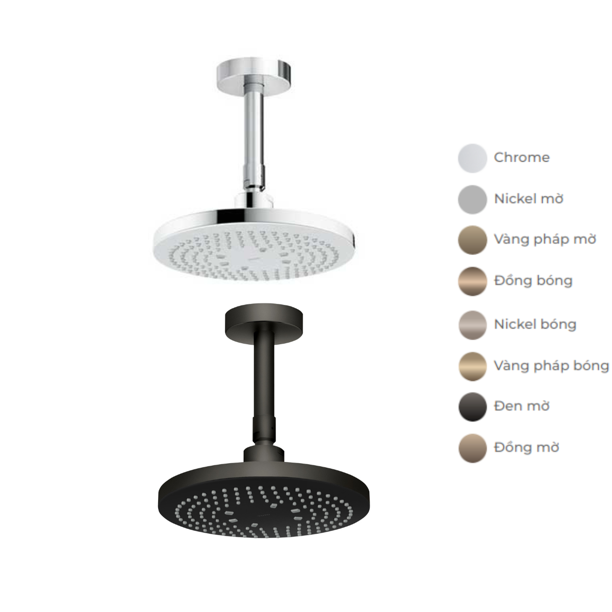 Bát sen tắm gắn trần tròn 220mm TOTO TBW01003B1A (TBW01003B1) - 2