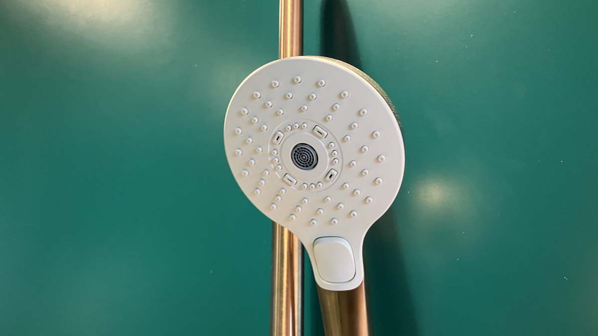 Tay sen tắm 3 chế độ TOTO TBW01010A - 10