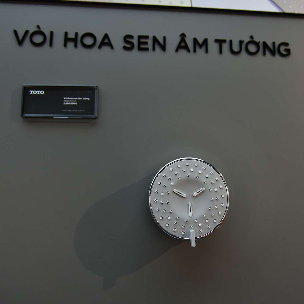 Đầu phun sen TOTO TBW07017A âm tường dòng L loại tròn 2 chế độ - 3