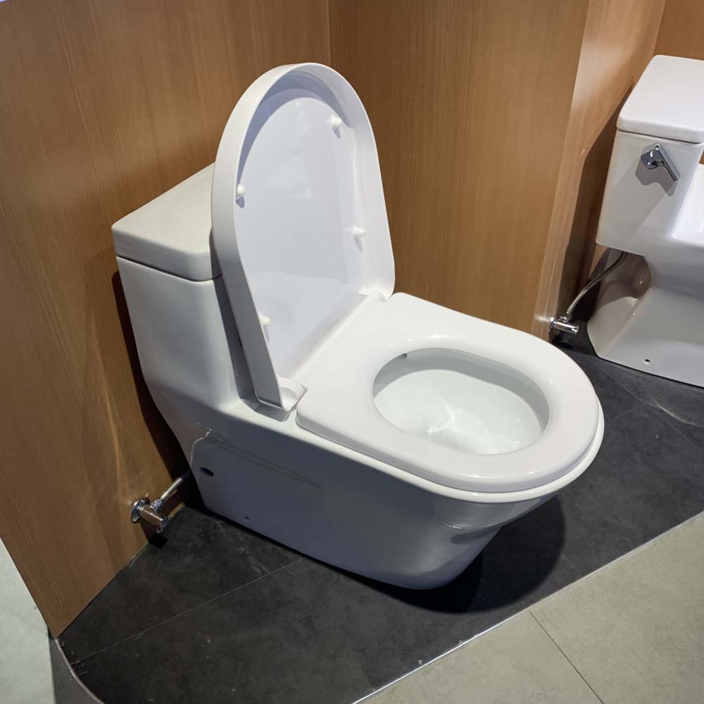 Bồn cầu TOTO CW166RB TC384CVK T53P100VR 1 khối nắp đóng êm - 8
