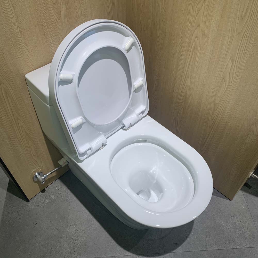 Bồn cầu TOTO CW166RB TC384CVK T53P100VR 1 khối nắp đóng êm - 17