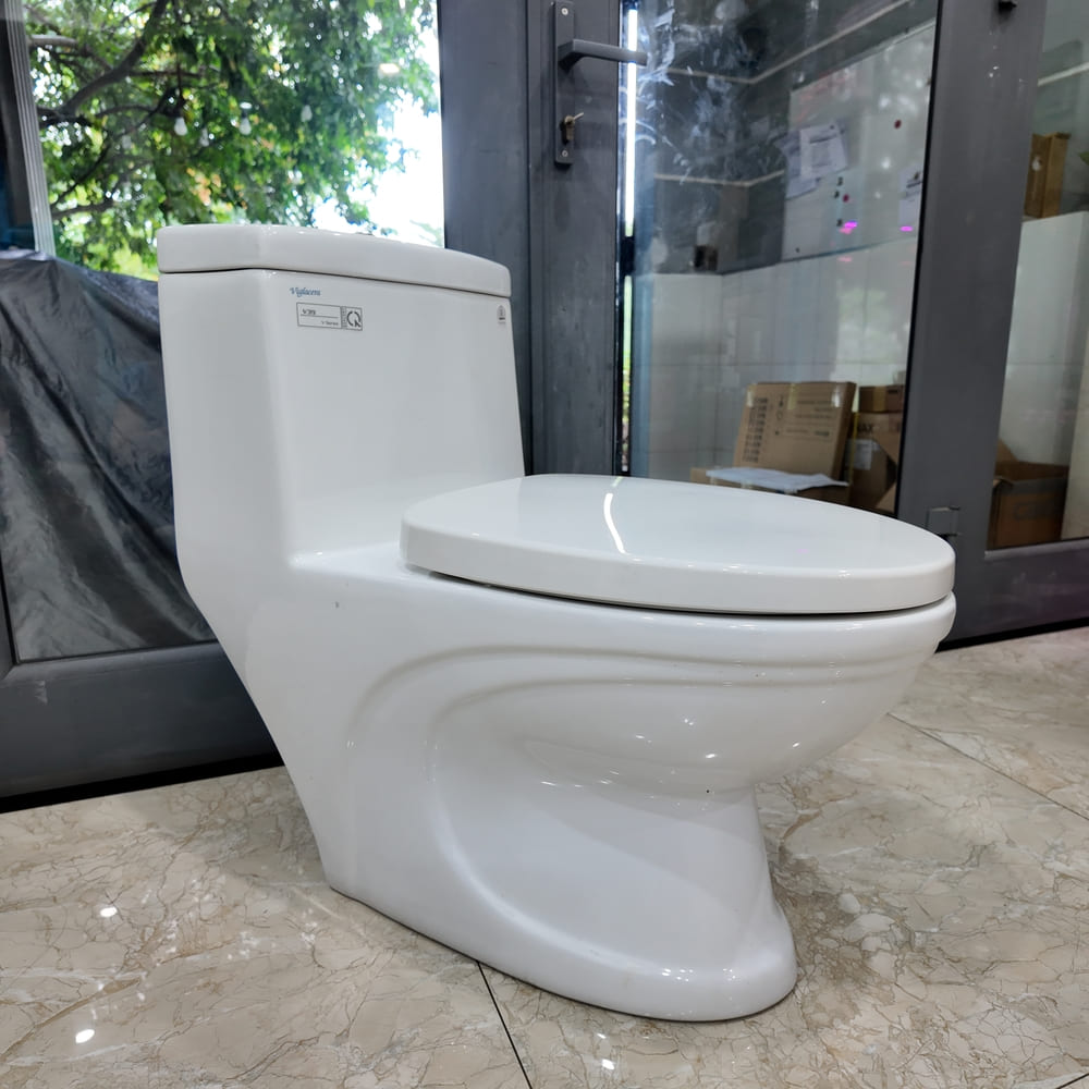 Bồn cầu 1 khối Viglacera V39 nắp êm xả thẳng (+ vòi xịt VG826) - 3