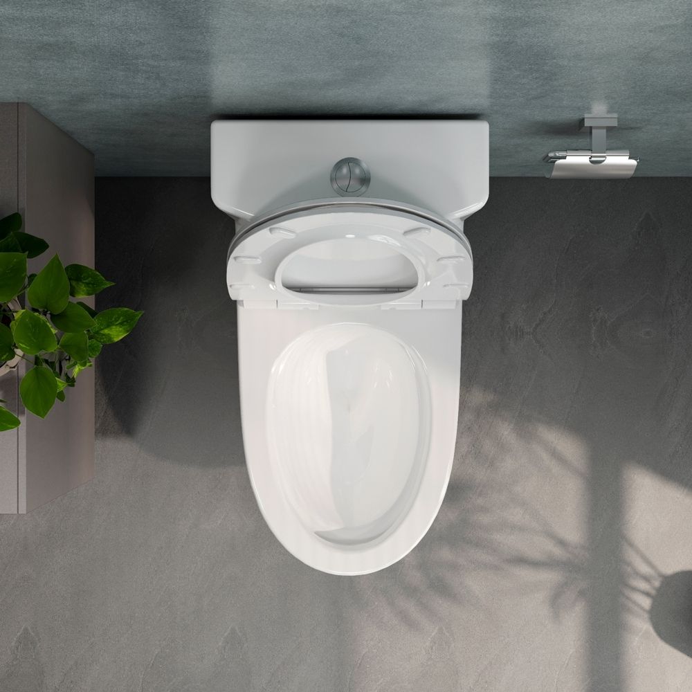 Bồn cầu 1 khối Viglacera V36 nắp êm (+ vòi xịt VG826) - 6