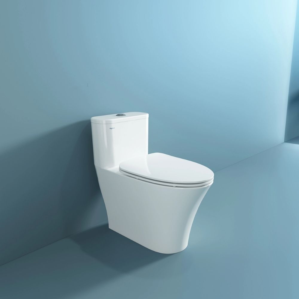 Bồn cầu 1 khối Viglacera V829 nắp êm (+ vòi xịt VG826) - 10