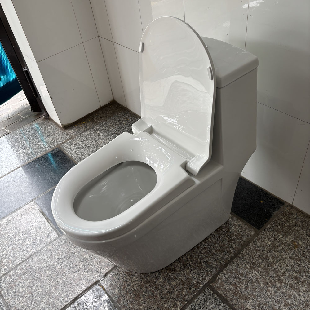 Bồn cầu 1 khối Viglacera V35M nắp êm xả xoáy (+ vòi xịt VG826) - 7