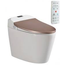 Bồn cầu thông minh 1 khối Viglacera V94 - 4