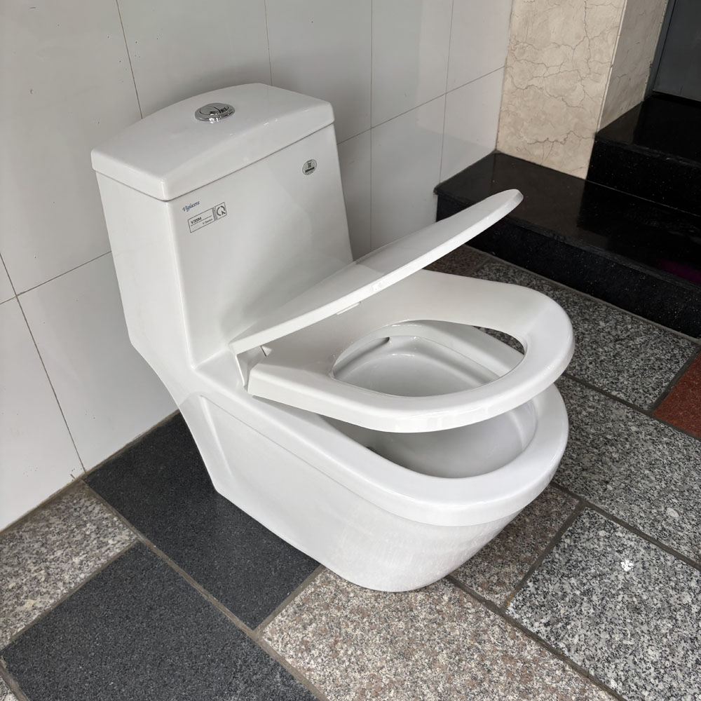 Bồn cầu 1 khối Viglacera V35M nắp êm xả xoáy (+ vòi xịt VG826) - 10
