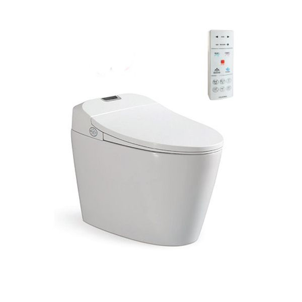 Bồn cầu thông minh 1 khối Viglacera V94 - 3