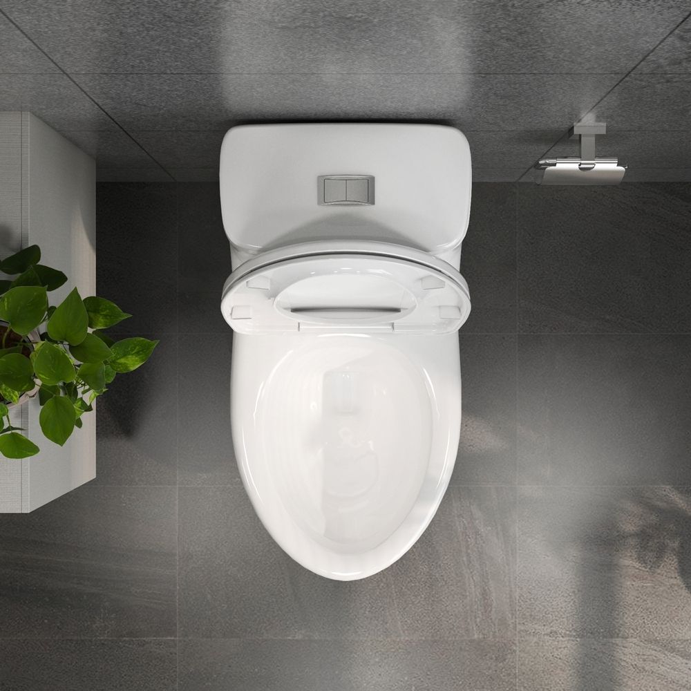 Bồn cầu 1 khối Viglacera BL5 nắp êm xả thẳng (+ vòi xịt VG826) - 7