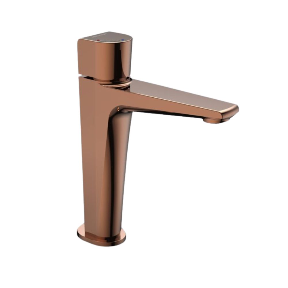Vòi chậu lavabo nóng lạnh Viglacera VG136.1 - 3