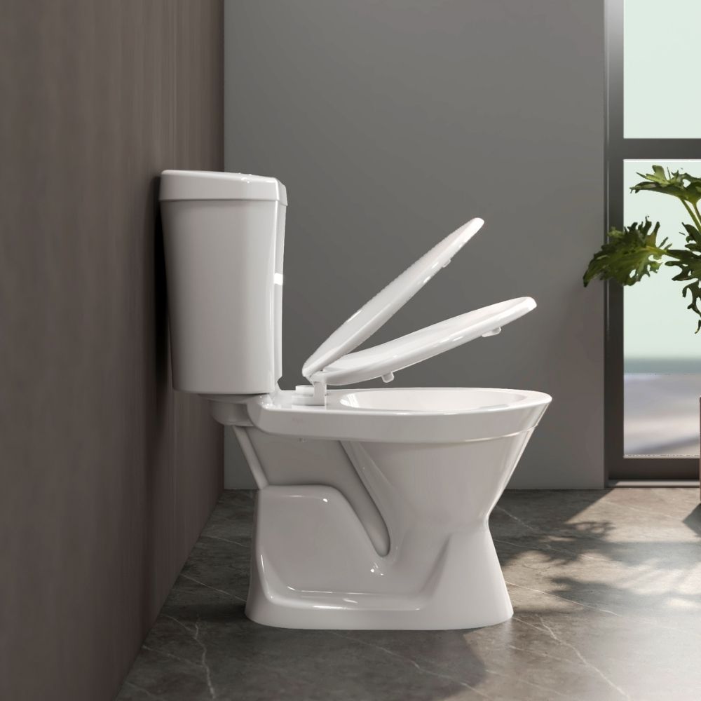 Bồn cầu 2 khối Viglacera VI66 nắp thường / nắp êm - 16