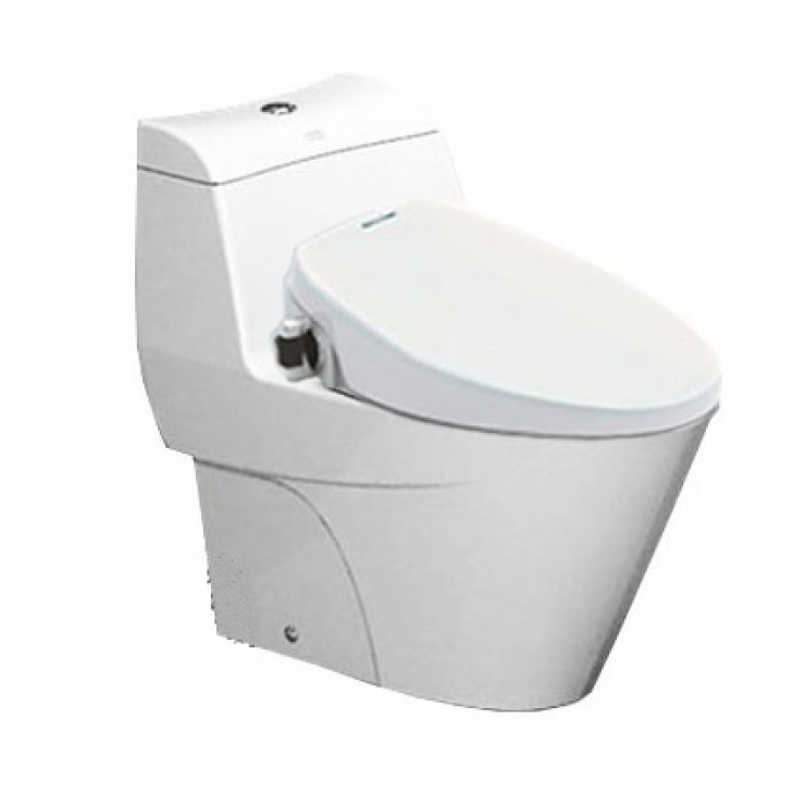 Bồn cầu 1 khối American Standard VF-2010S (VF2010S) nắp rửa cơ Slim VF-2010S