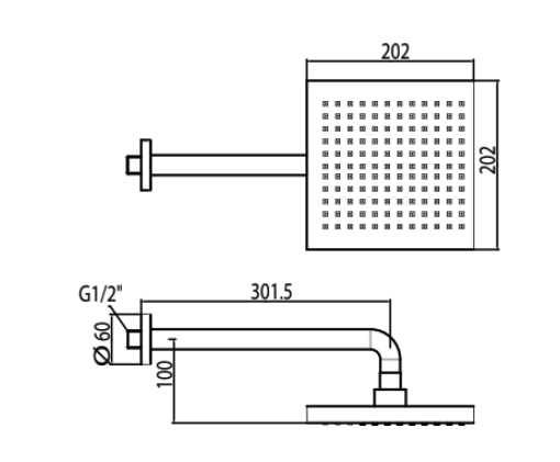 Đầu sen tắm phun mưa American Standard Acacia WF-9052 (WF9052) WF-9052 - 2