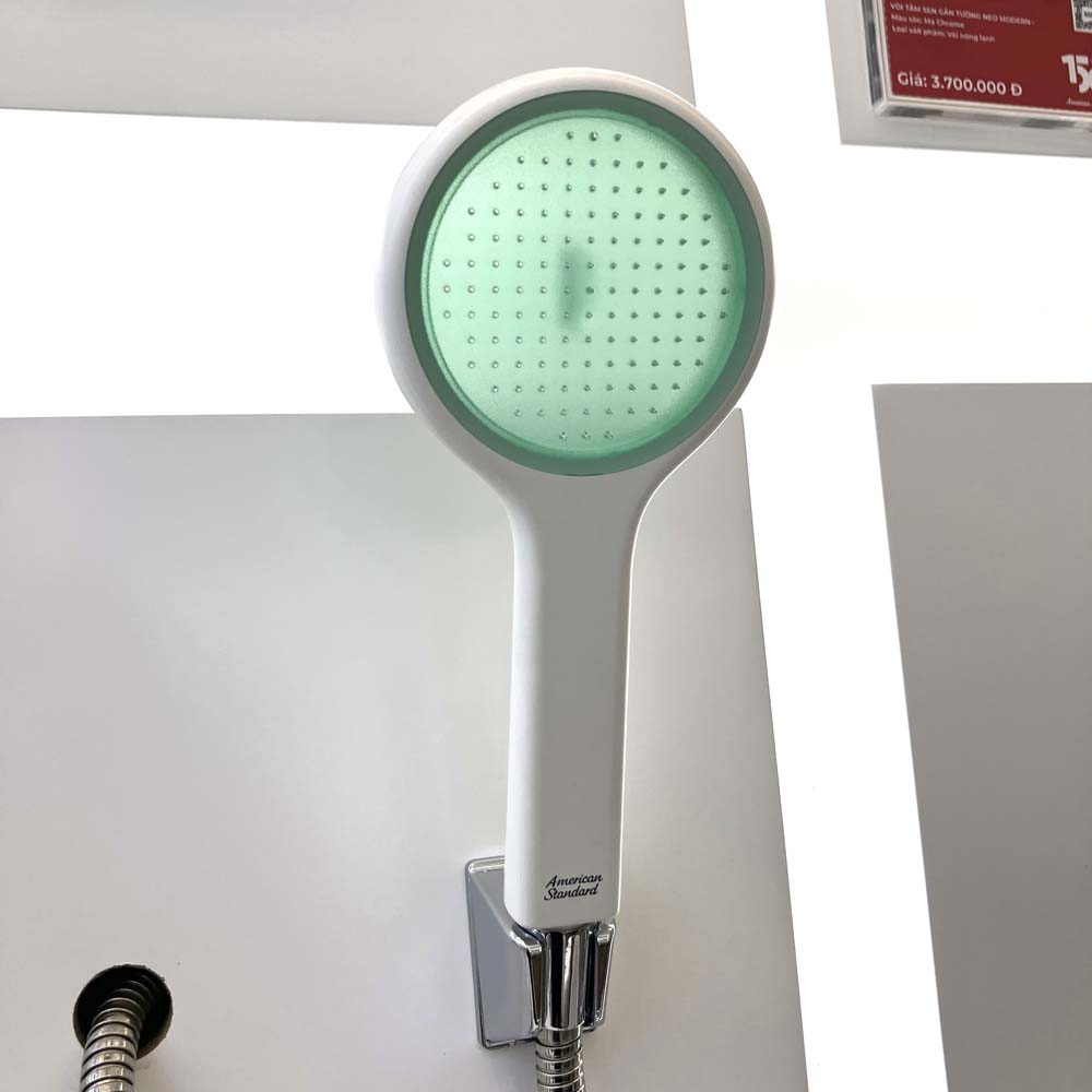 Bộ tay sen tắm và gác sen American Standard Genie FFASS506 FFASS506-GR - 4