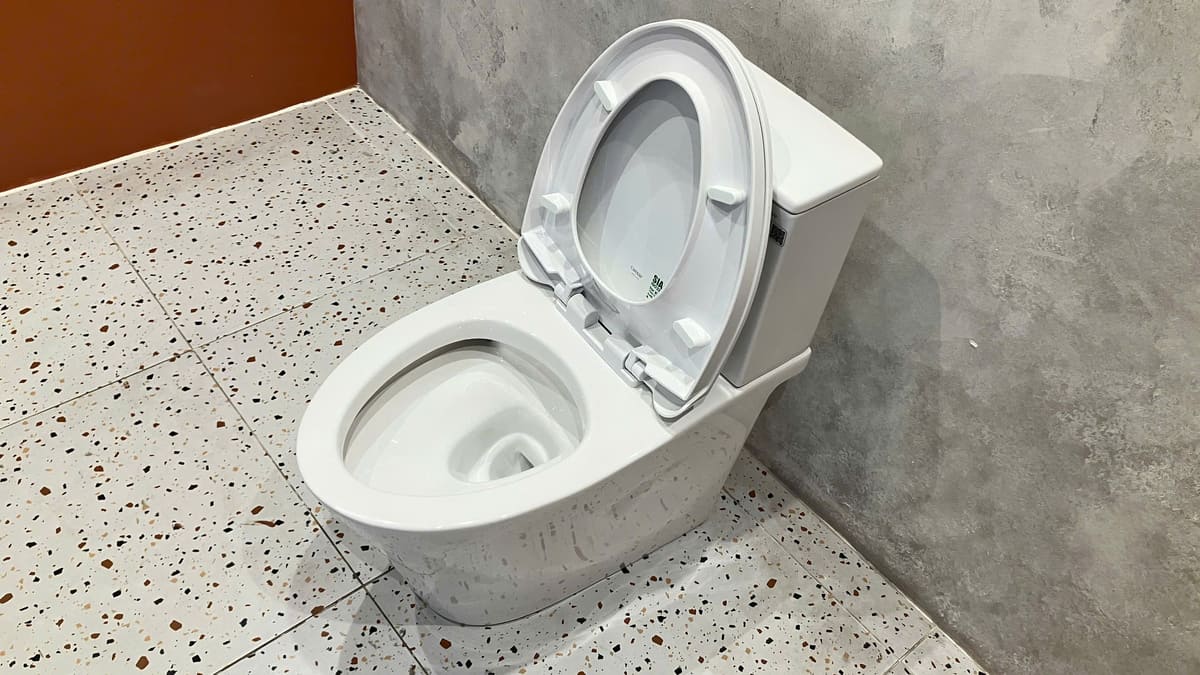 Bồn cầu 2 khối CAESAR CD1342 nắp đóng êm CD1342 - 3