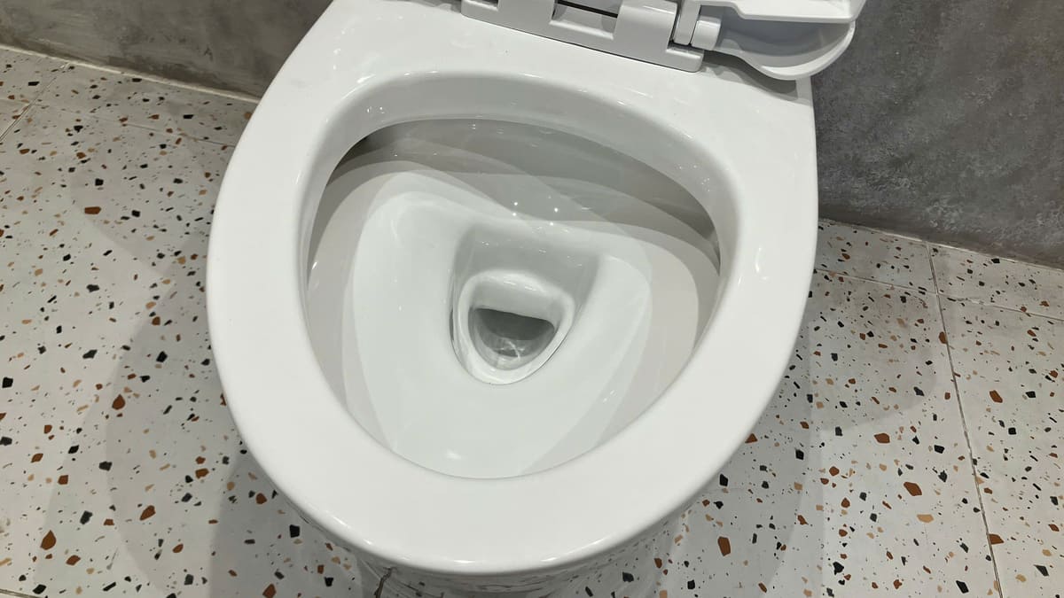 Bồn cầu 2 khối CAESAR CD1342 nắp đóng êm CD1342 - 6