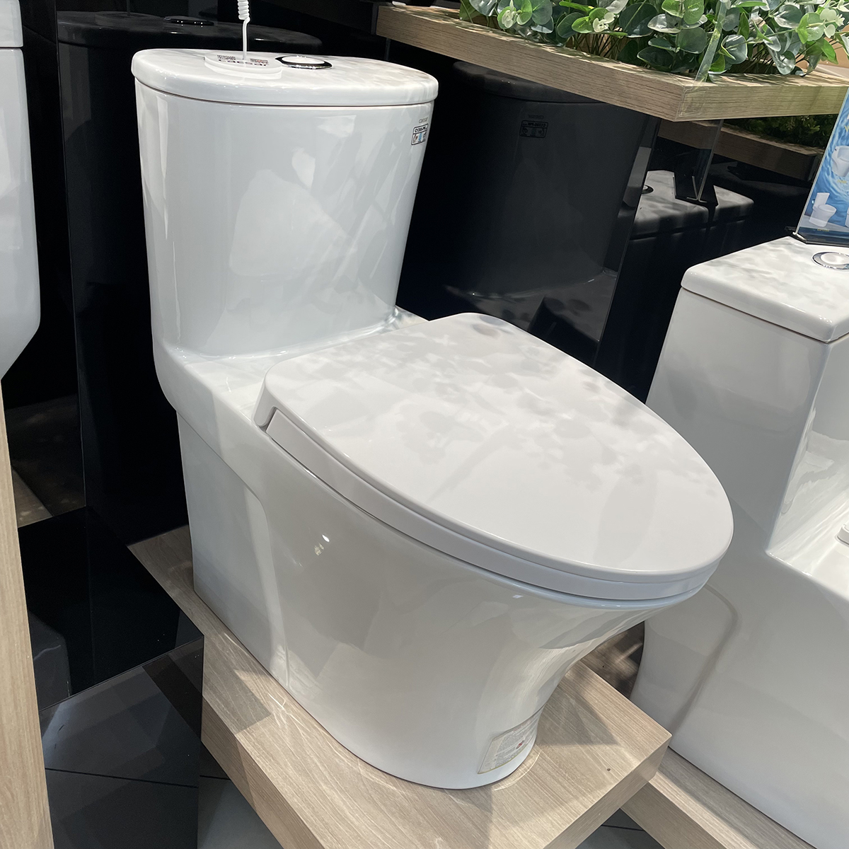 Bồn cầu 1 khối Caesar C1395 (CD1395) nắp đóng êm C1395 - 2