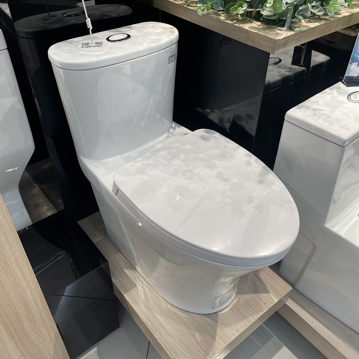 Bồn cầu 1 khối Caesar C1395 (CD1395) nắp đóng êm C1395 - 3