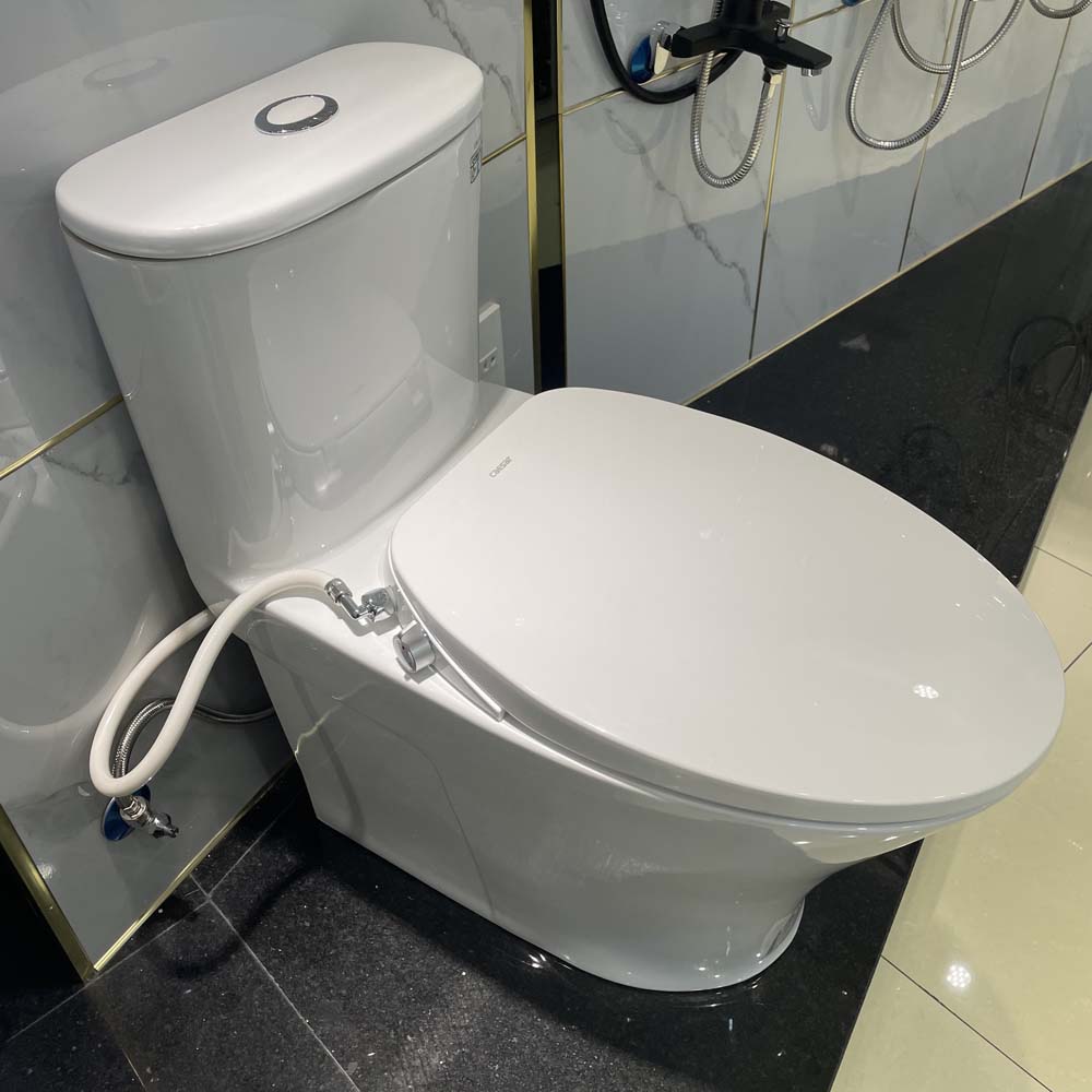 Bồn cầu 1 khối nắp rửa cơ Caesar C1395F + TAF060 (CD1395+TAF060) CD1395+TAF060 - 3