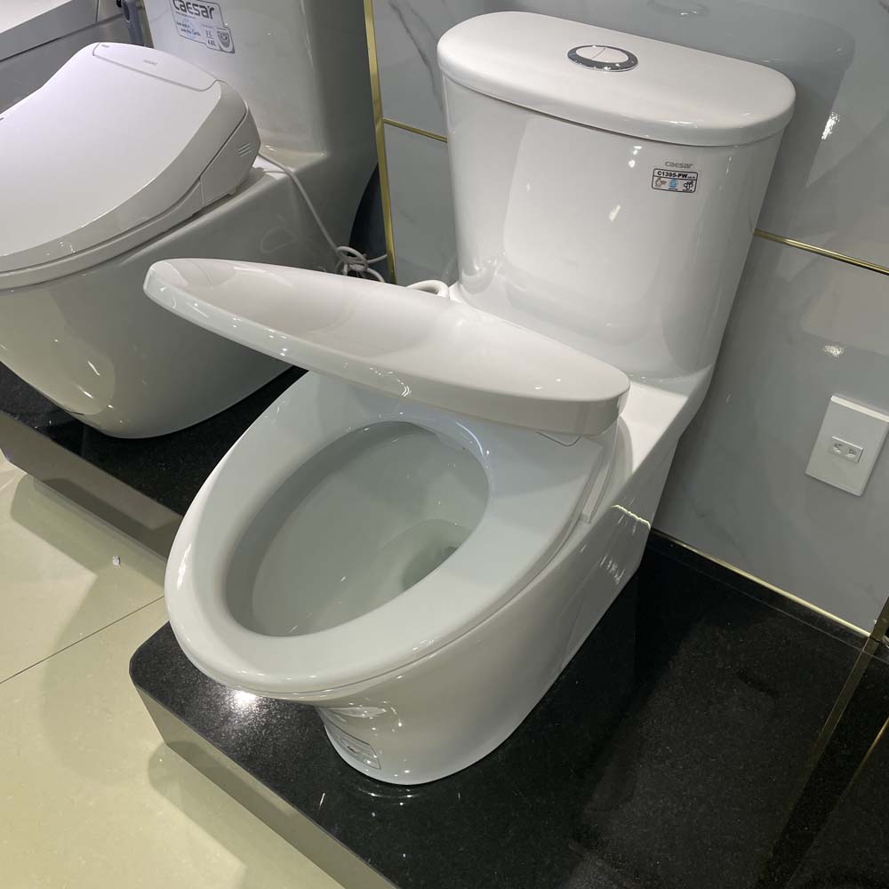 Bồn cầu 1 khối nắp rửa cơ Caesar C1395F + TAF060 (CD1395+TAF060) CD1395+TAF060 - 6