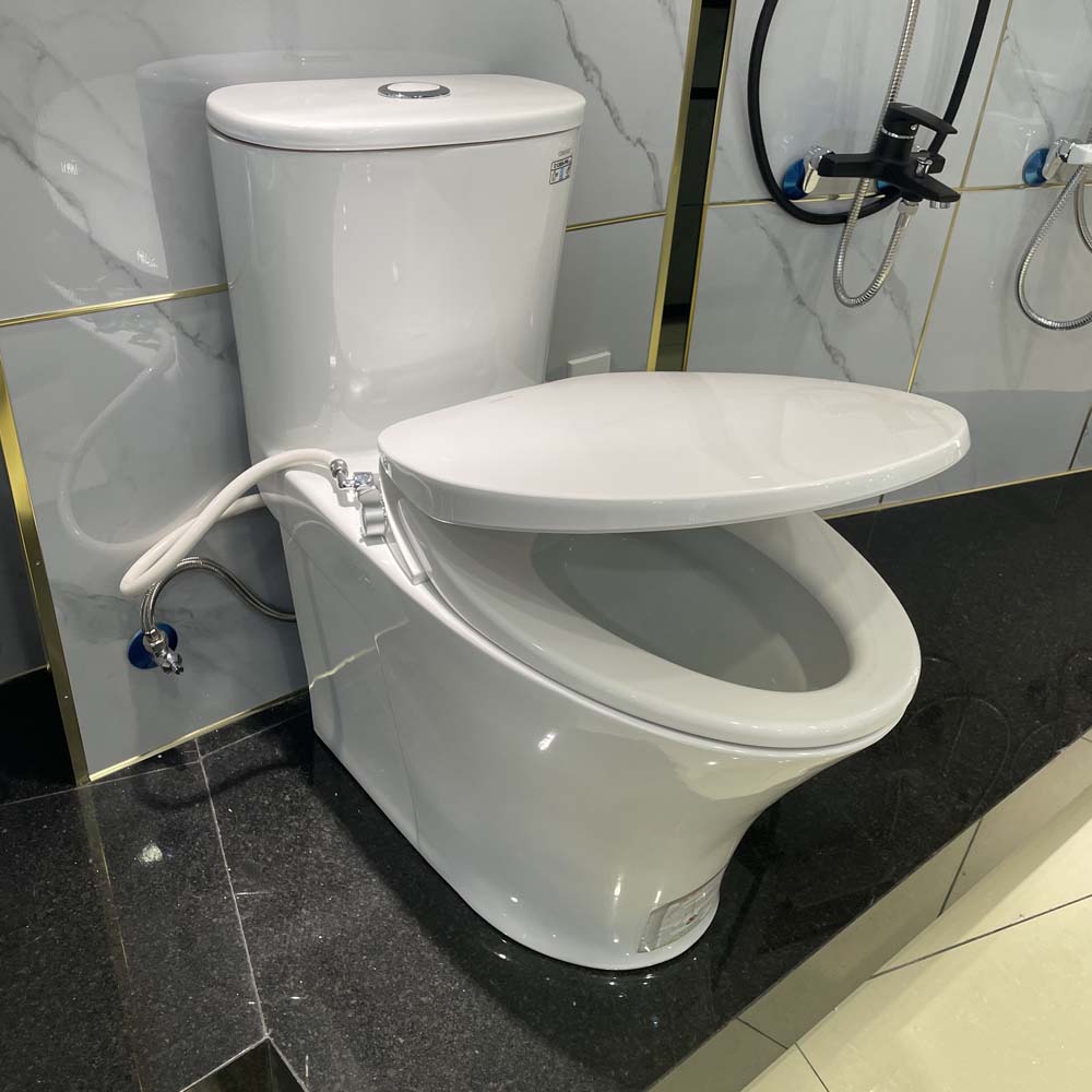 Bồn cầu 1 khối nắp rửa cơ Caesar C1395F + TAF060 (CD1395+TAF060) CD1395+TAF060 - 4