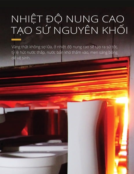 Bồn cầu 1 khối CAESAR C1353 kèm nắp TAF060 - 7