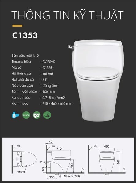 Bồn cầu 1 khối CAESAR C1353 kèm nắp TAF060 - 10
