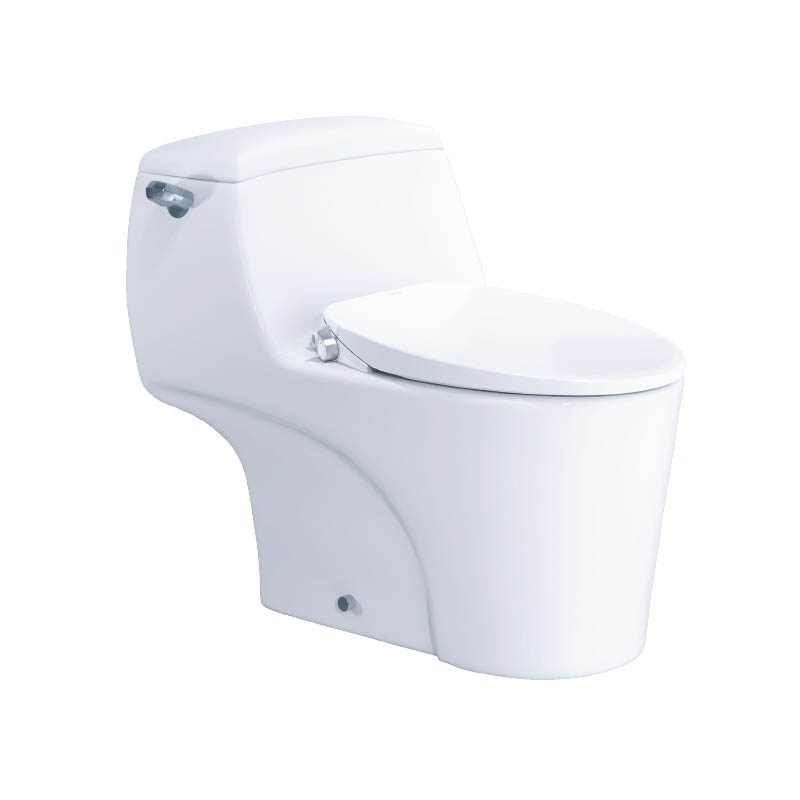 Bồn cầu 1 khối nắp rửa cơ Caesar C1353F + TAF060 (C1353+TAF060) C1353+TAF060