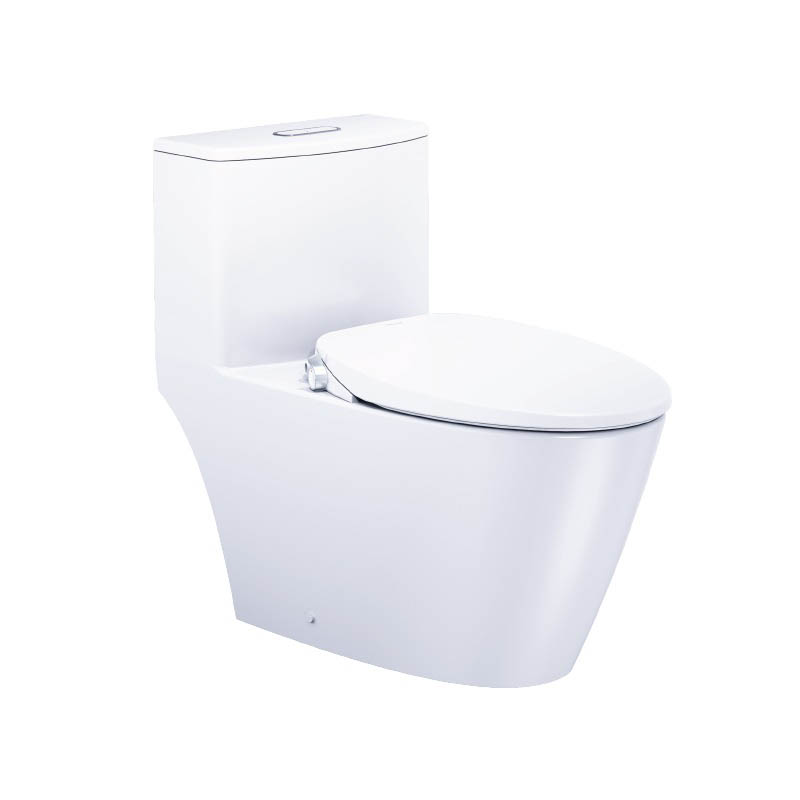 Bồn cầu 1 khối nắp rửa cơ Caesar C1363F + TAF060 (CD1363+TAF060) CD1363+TAF060