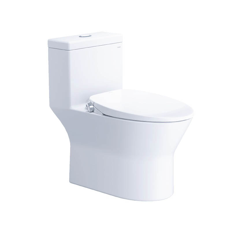 Bồn cầu 1 khối nắp rửa cơ Caesar C1374F + TAF060 (CD1374+TAF060) CD1374+TAF060