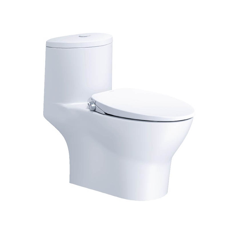 Bồn cầu 1 khối nắp rửa cơ Caesar C1375F + TAF060 (CD1375+TAF060) CD1375+TAF060