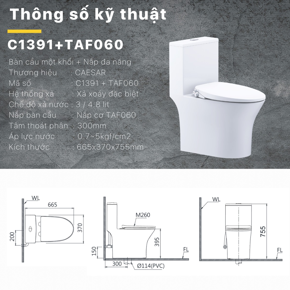 Bồn cầu 1 khối CAESAR C1391 kèm nắp TAF060 - 11