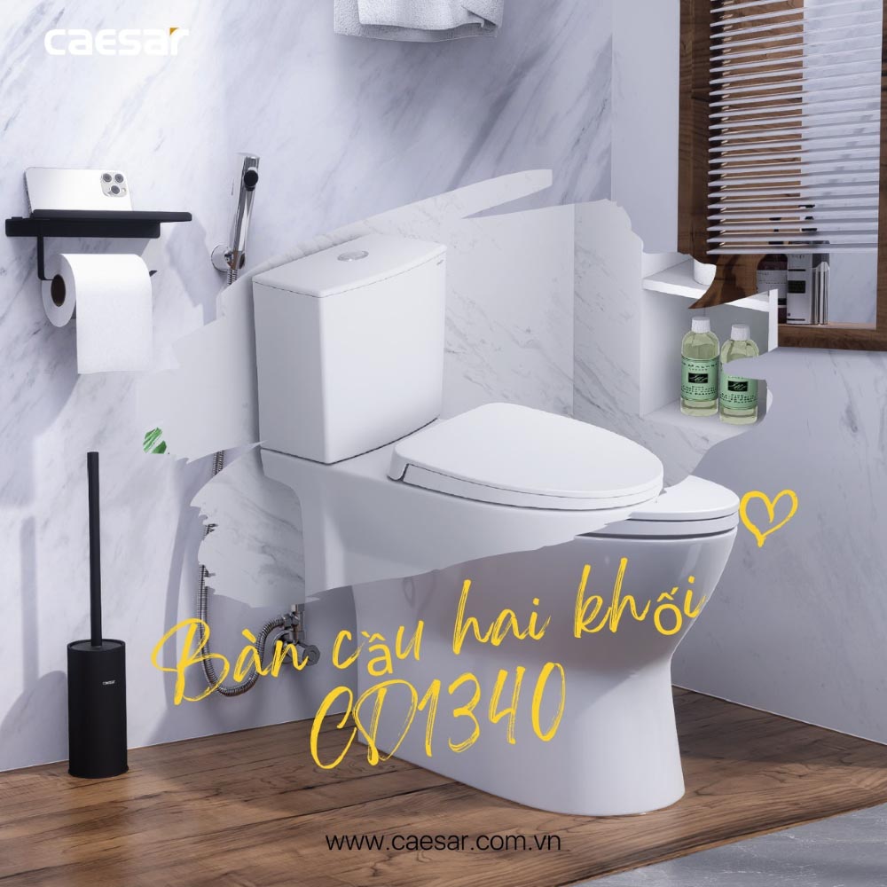 Bồn cầu 2 khối nắp rửa cơ Caesar CD1340 + TAF060 CD1340+TAF060 - 4