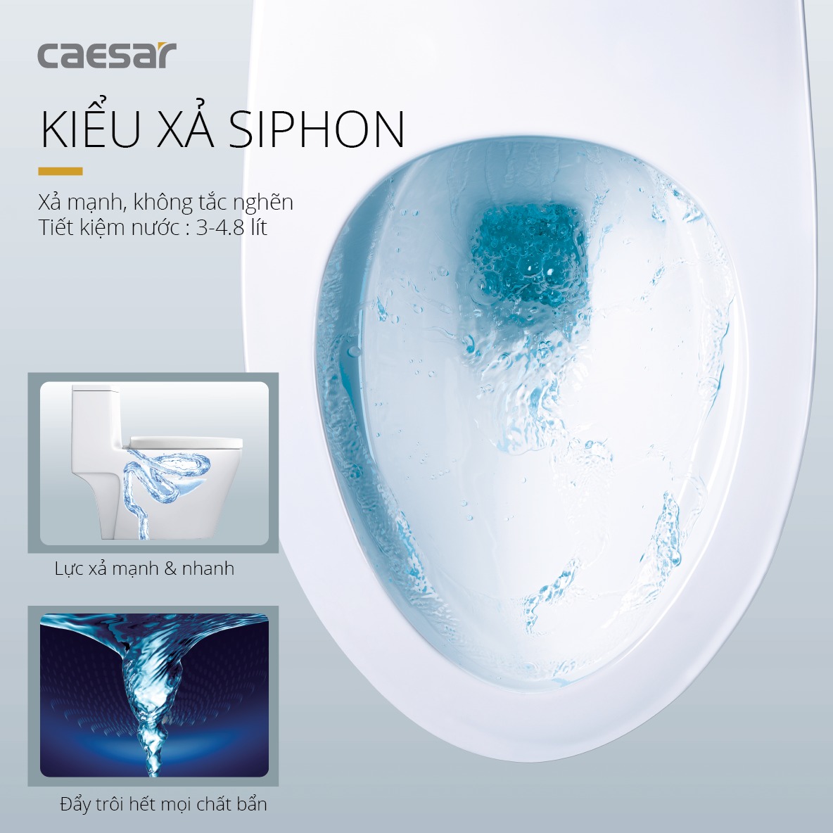 Bồn cầu 1 khối nắp rửa cơ Caesar C1356F + TAF060 (CD1356+TAF060) CD1356+TAF060 - 4