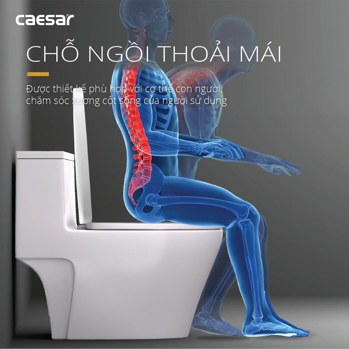 Bồn cầu 1 khối CAESAR CD1356 kèm nắp TAF060 - 9
