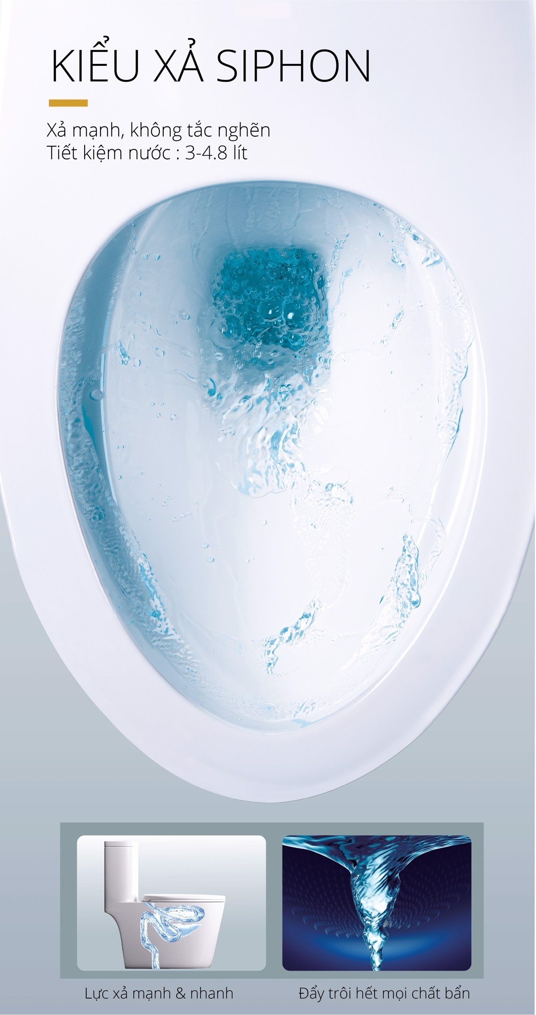 Bồn cầu 1 khối nắp rửa cơ Caesar C1364F + TAF060 (CD1364+TAF060) C1364F+TAF060 - 4