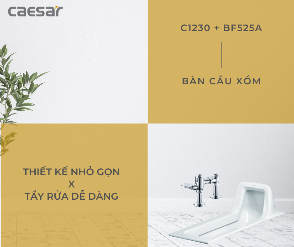 Bồn cầu xổm kèm van xả tay gạt Caesar C1230+BF525A C1230+BF525A - 4