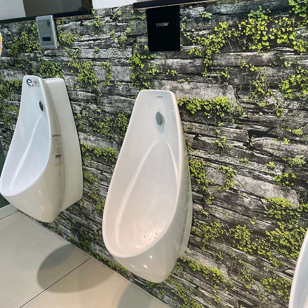 Bồn tiểu nam treo tường Caesar U0264 U0264 - 3
