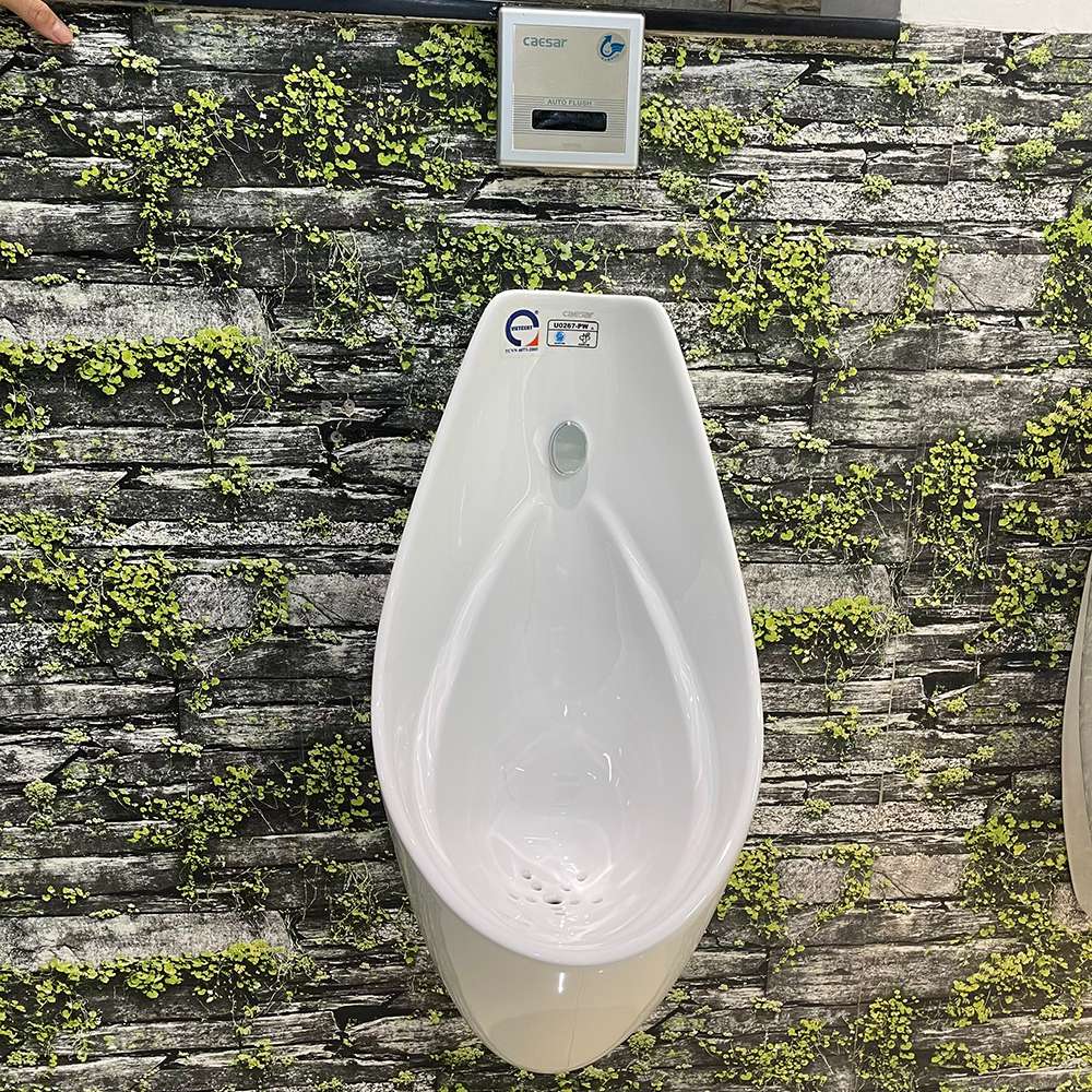 Bồn tiểu nam treo tường Caesar U0267 U0267 - 3