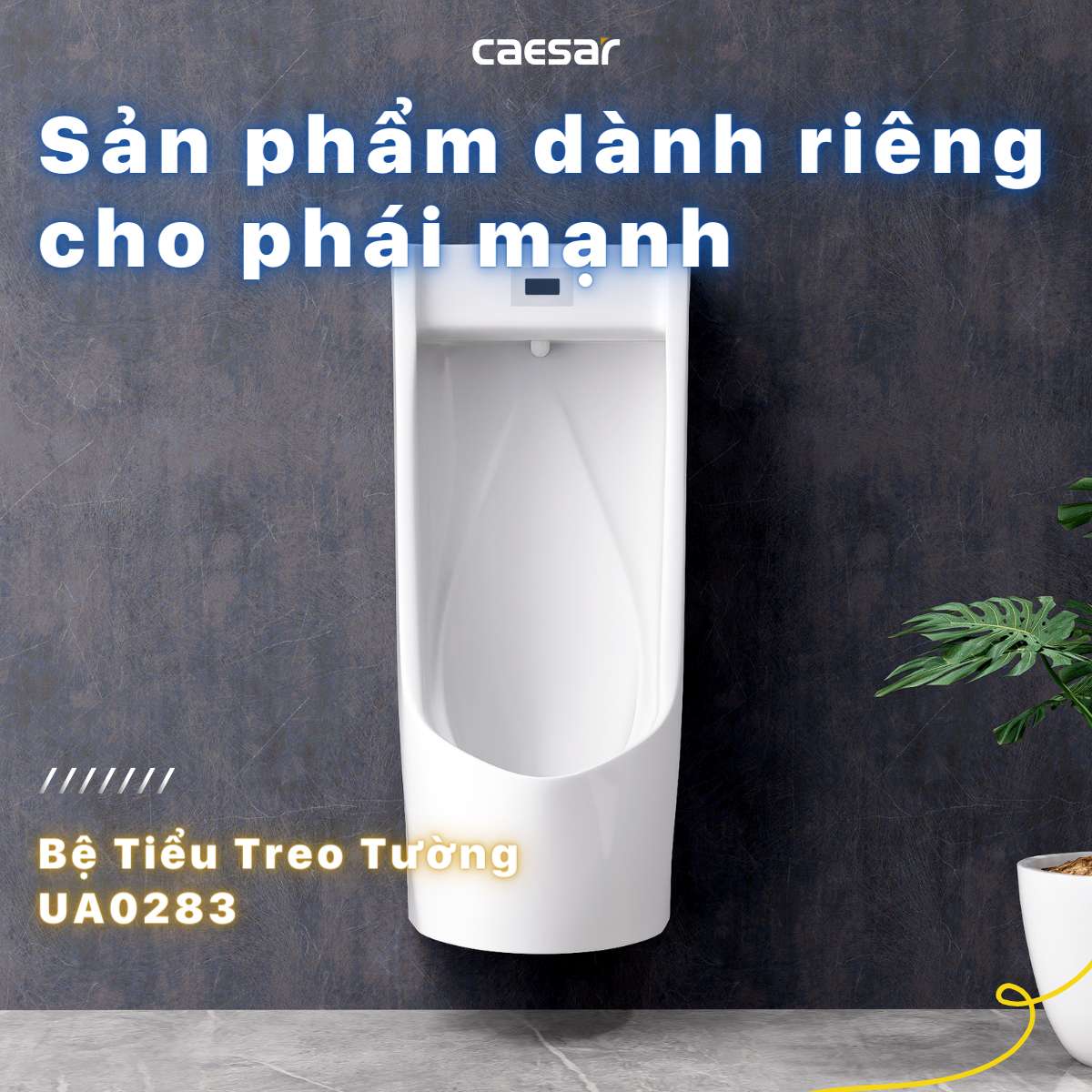 Bồn tiểu nam treo tường van cảm ứng Caesar UA0283 UA0283 - 3