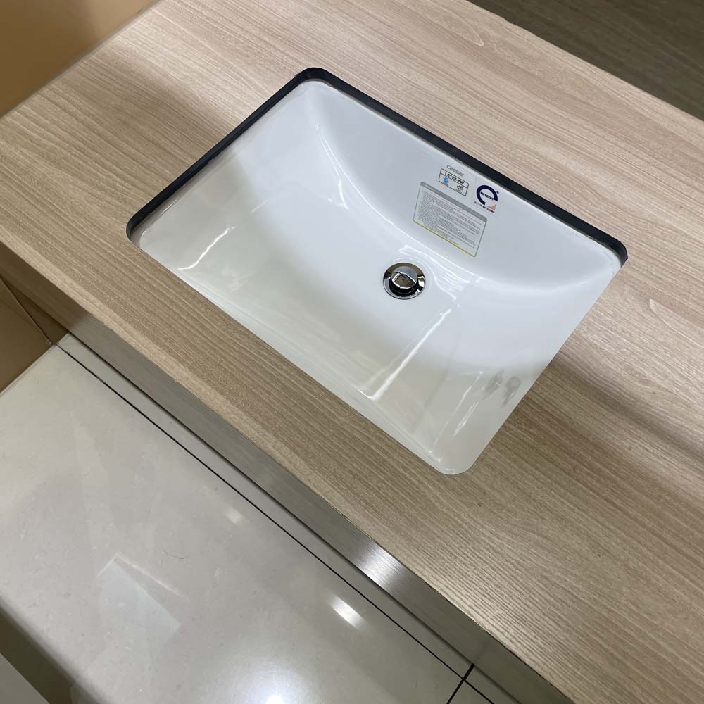 Chậu rửa mặt lavabo âm bàn Caesar L5125 L5125 - 4