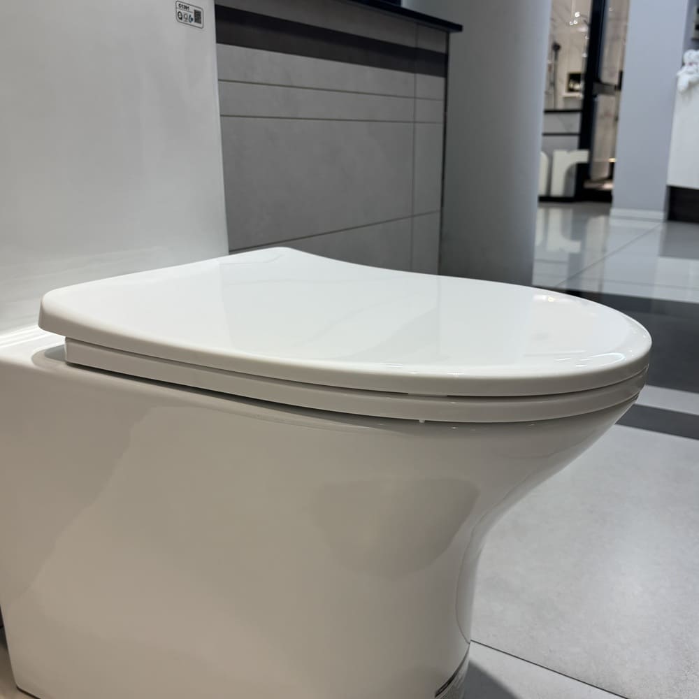 Nắp bồn cầu đóng êm Caesar M260 M260 - 3