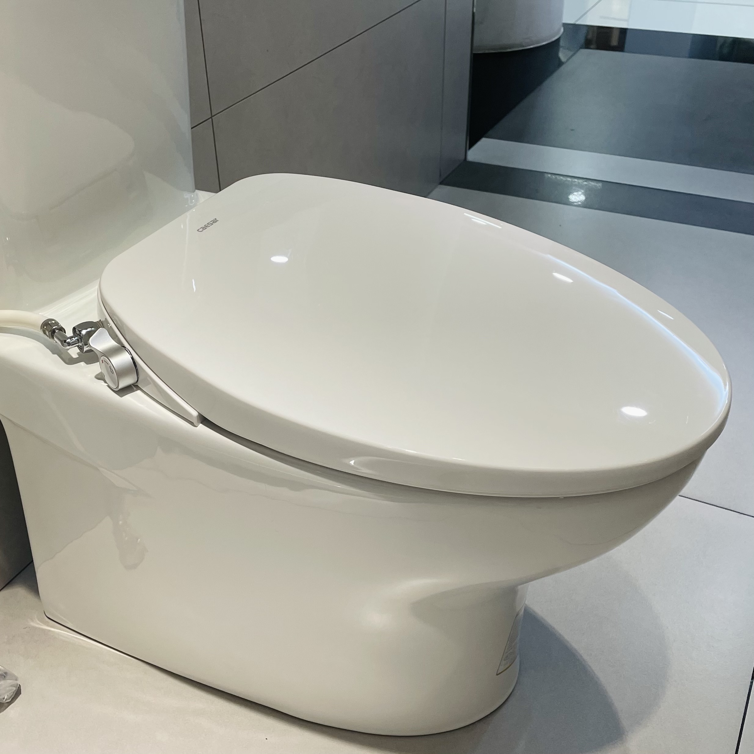 Nắp bồn cầu rửa cơ Caesar - 2