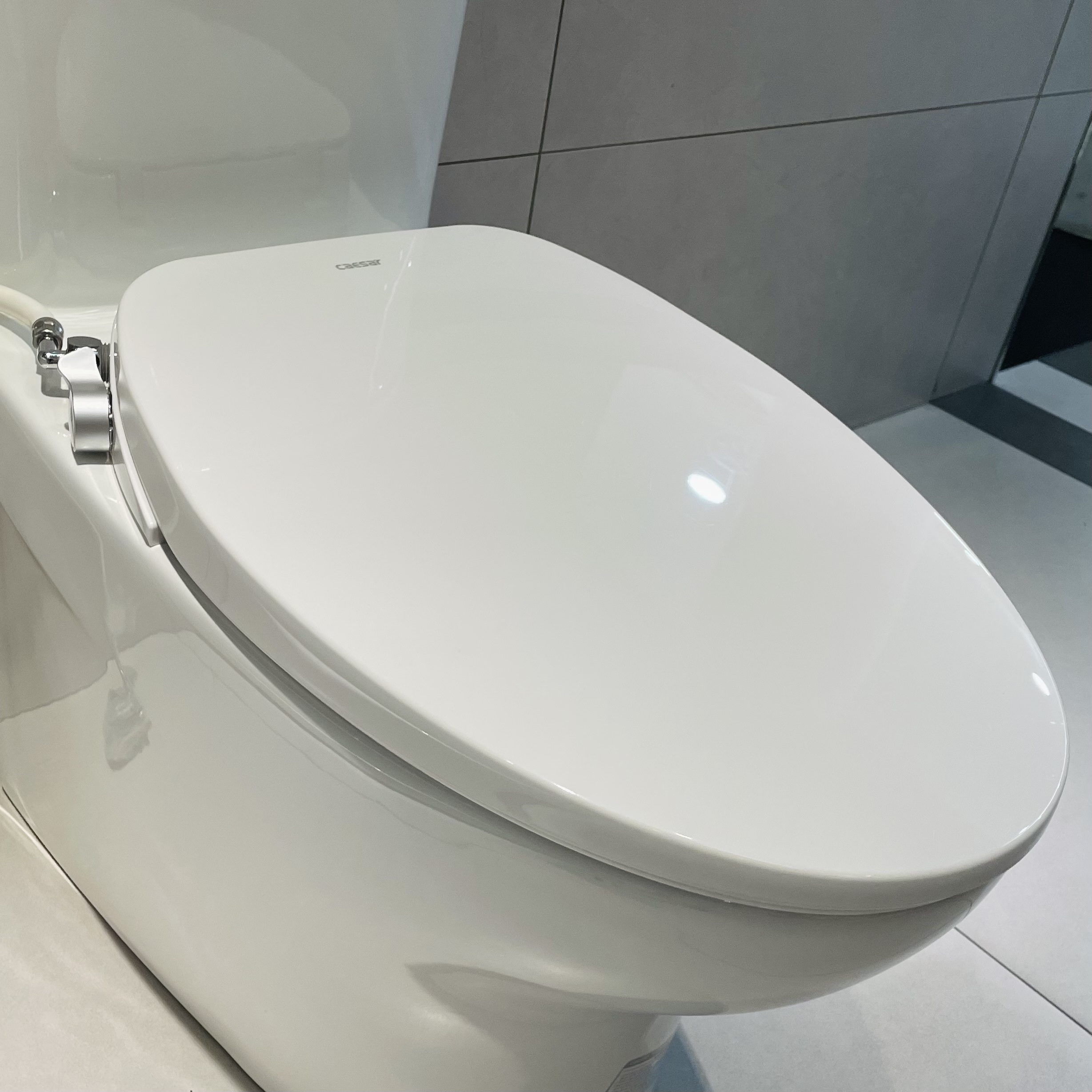 Nắp bồn cầu rửa cơ Caesar - 4