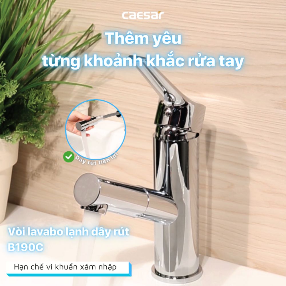 Vòi chậu lavabo lạnh dây rút Caesar B190C B190C - 3
