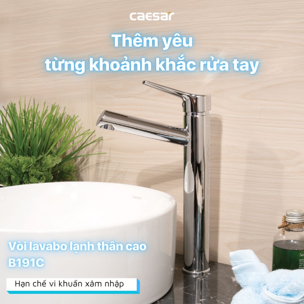 Vòi chậu lavabo lạnh Caesar B191C B191C - 6