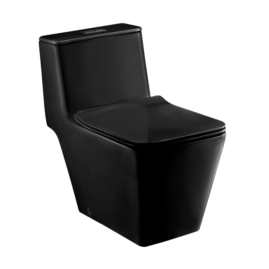 Bồn cầu 1 khối COTTO C1032MBK nắp êm dòng Simply Modish C1032MBK