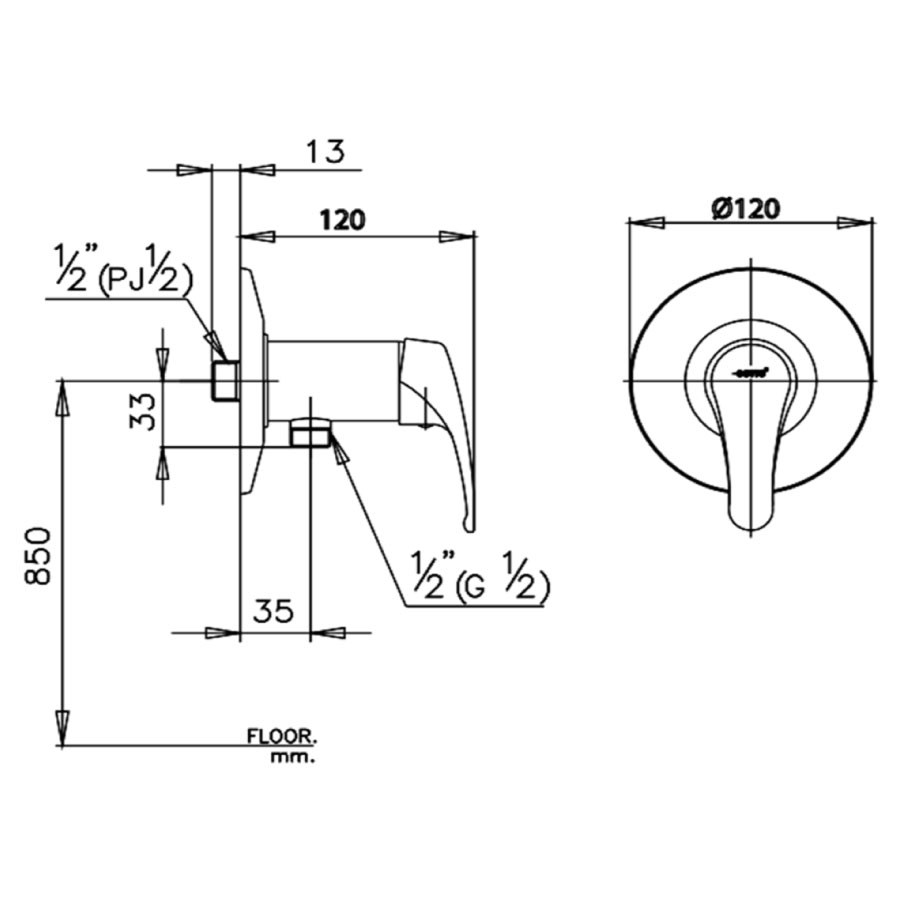 Củ sen tắm COTTO CT372A nước lạnh Arona CT372A - 2