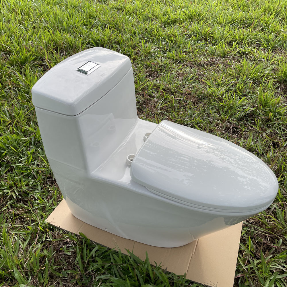 Bồn cầu 1 khối dòng Projectline GROHE 39316000 39316000 - 5